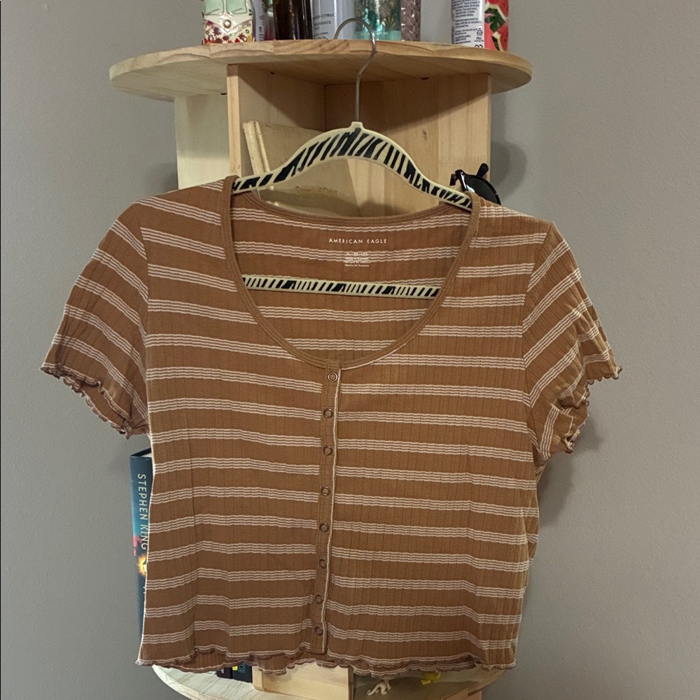 American Eagle Outfitters Tan Striped Crop Top